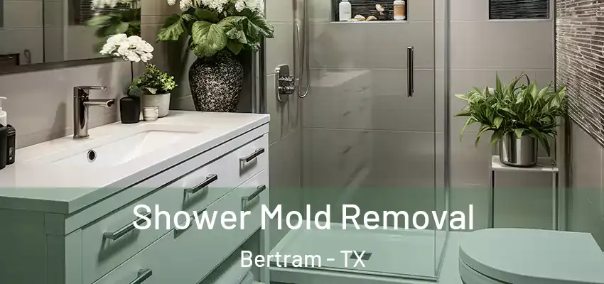  Shower Mold Removal Bertram - TX