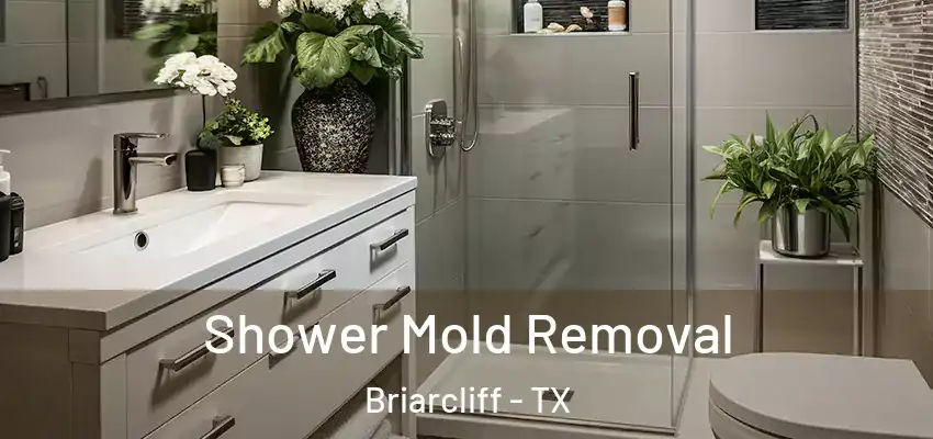  Shower Mold Removal Briarcliff - TX