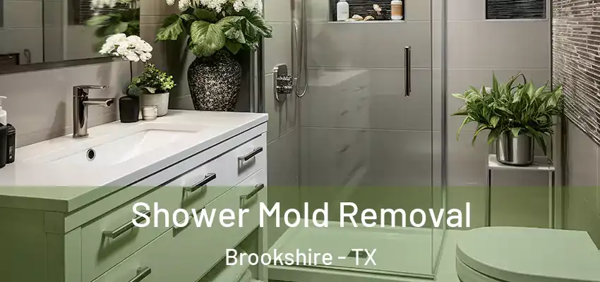  Shower Mold Removal Brookshire - TX
