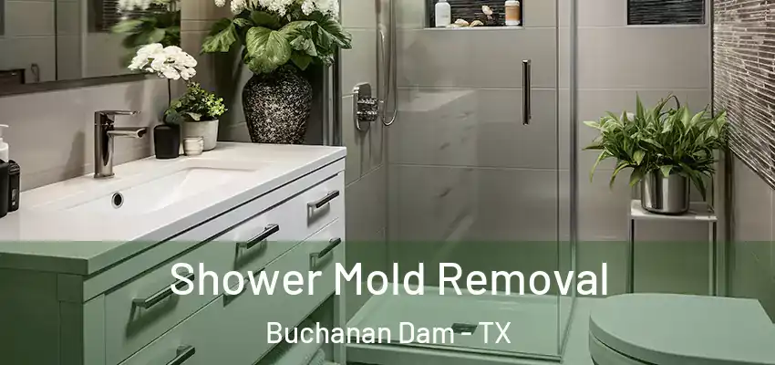  Shower Mold Removal Buchanan Dam - TX