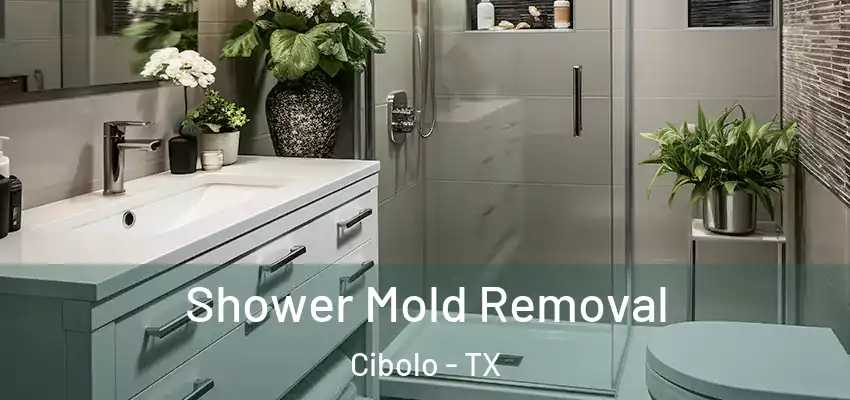  Shower Mold Removal Cibolo - TX
