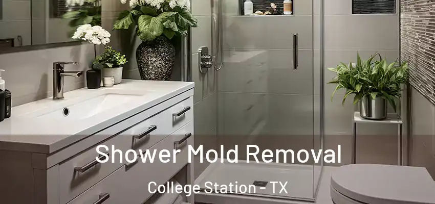  Shower Mold Removal College Station - TX