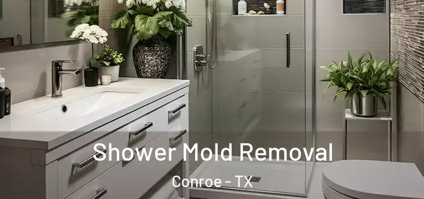  Shower Mold Removal Conroe - TX