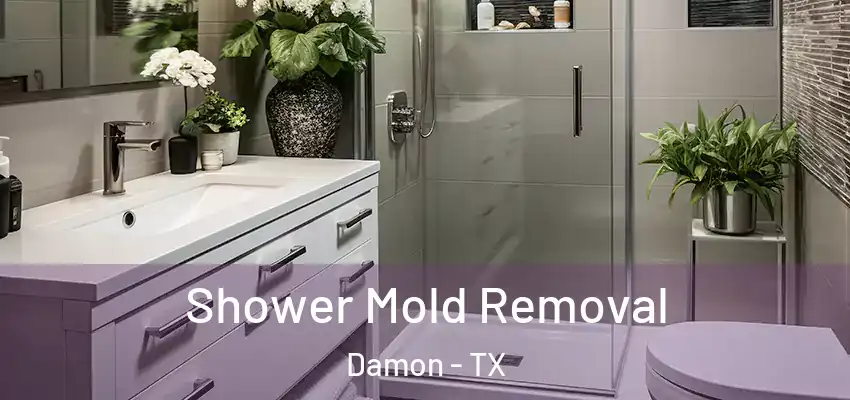  Shower Mold Removal Damon - TX
