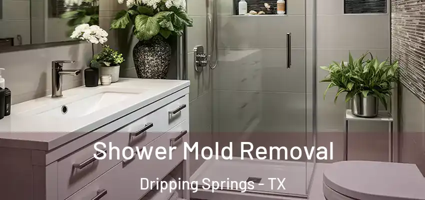  Shower Mold Removal Dripping Springs - TX