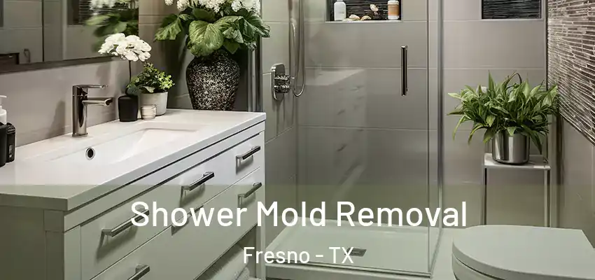  Shower Mold Removal Fresno - TX