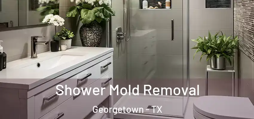  Shower Mold Removal Georgetown - TX