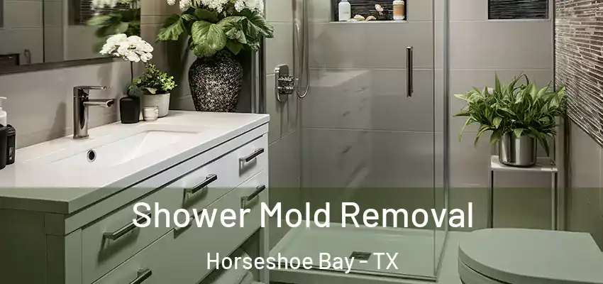  Shower Mold Removal Horseshoe Bay - TX