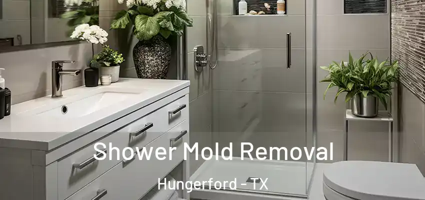  Shower Mold Removal Hungerford - TX