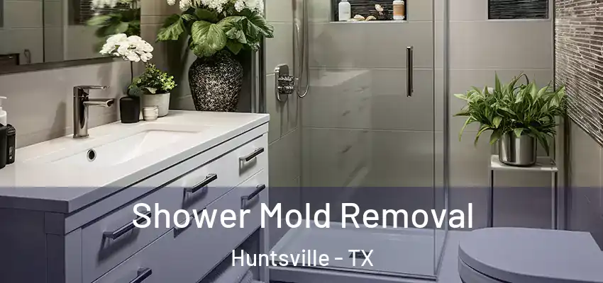  Shower Mold Removal Huntsville - TX