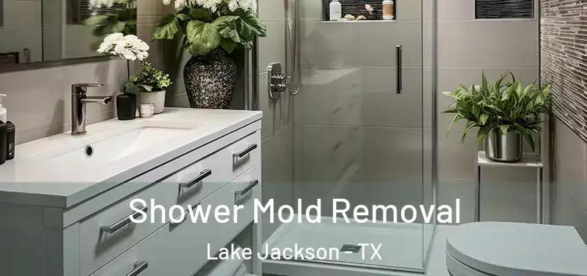  Shower Mold Removal Lake Jackson - TX