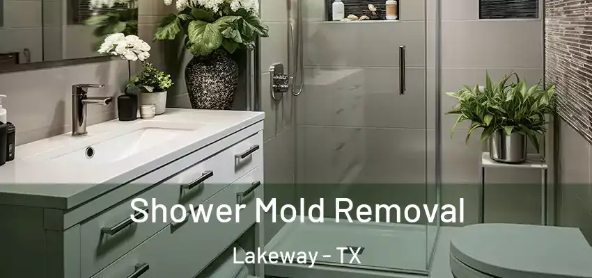  Shower Mold Removal Lakeway - TX