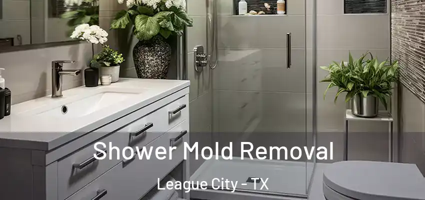  Shower Mold Removal League City - TX