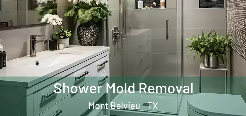  Shower Mold Removal Mont Belvieu - TX