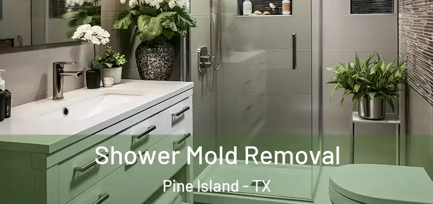  Shower Mold Removal Pine Island - TX