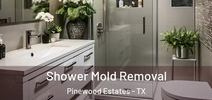  Shower Mold Removal Pinewood Estates - TX