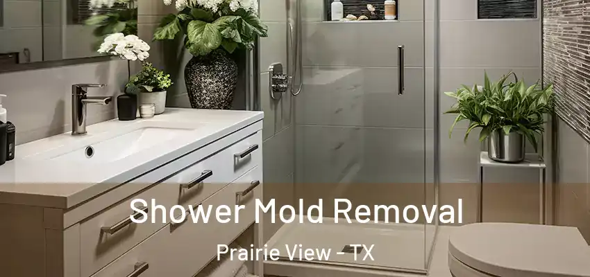  Shower Mold Removal Prairie View - TX