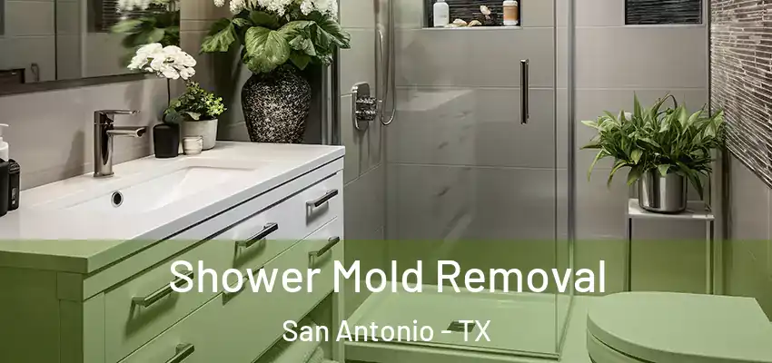  Shower Mold Removal San Antonio - TX
