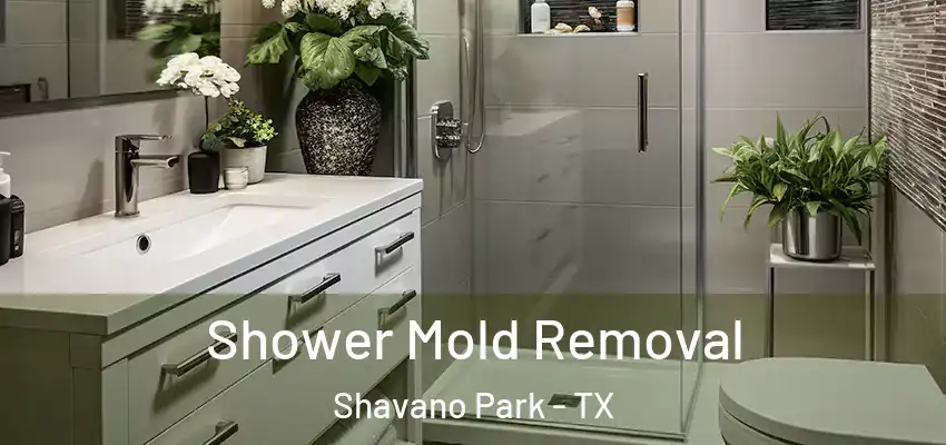  Shower Mold Removal Shavano Park - TX