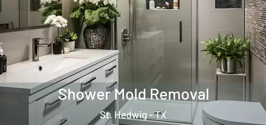  Shower Mold Removal St. Hedwig - TX