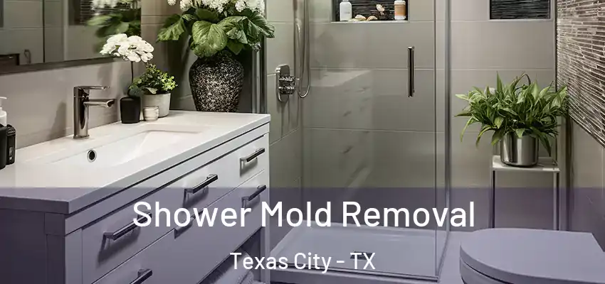  Shower Mold Removal Texas City - TX