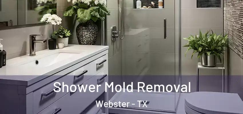  Shower Mold Removal Webster - TX