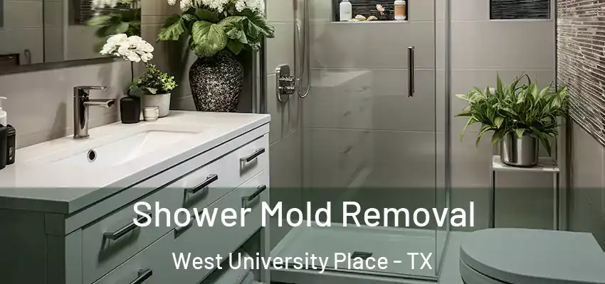 Shower Mold Removal West University Place - TX