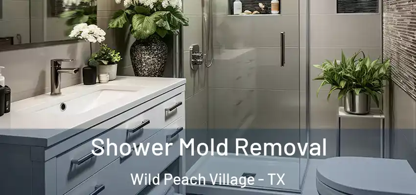  Shower Mold Removal Wild Peach Village - TX
