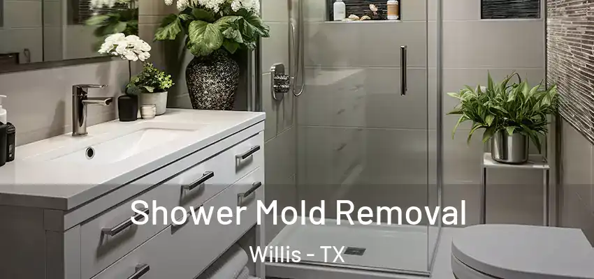  Shower Mold Removal Willis - TX