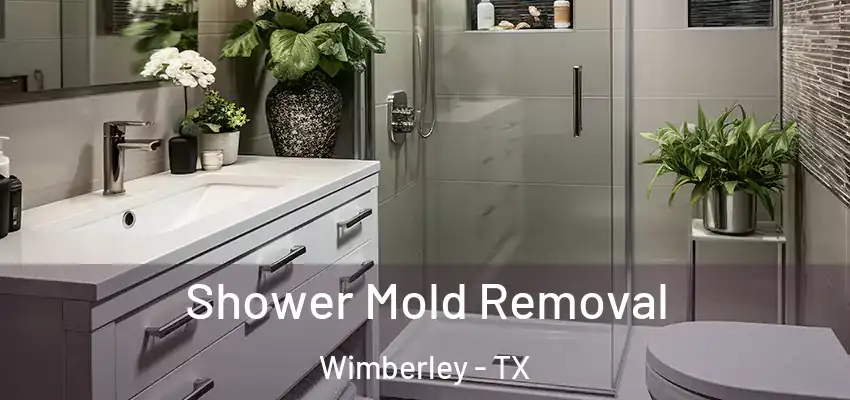  Shower Mold Removal Wimberley - TX